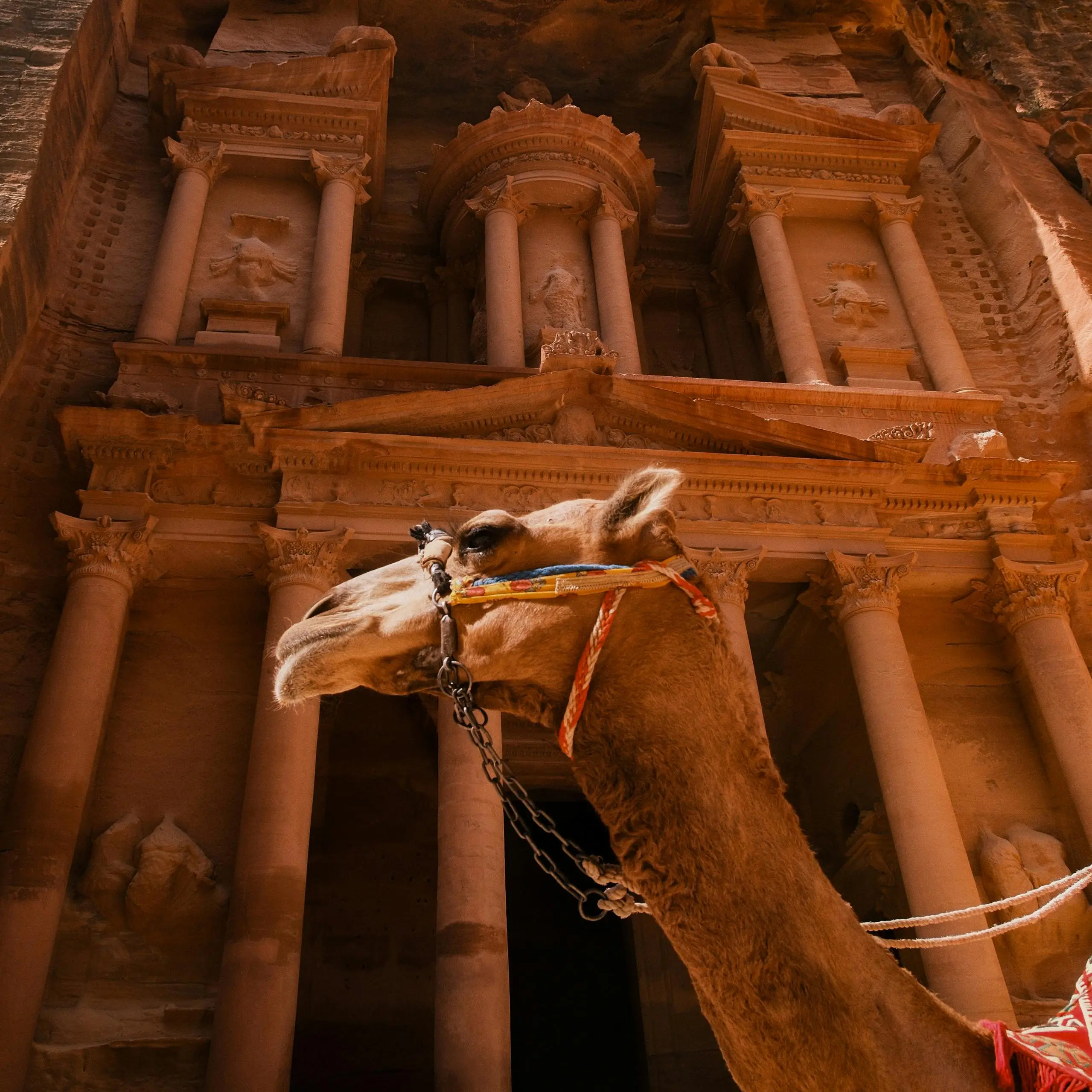 Home pexels mustafa el taie 746834423 33283805 copy