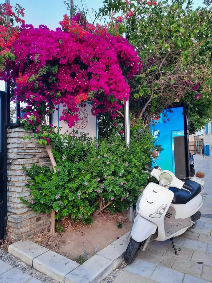 received 329148335308957